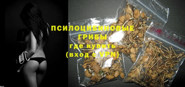 прущая мука Каменногорск